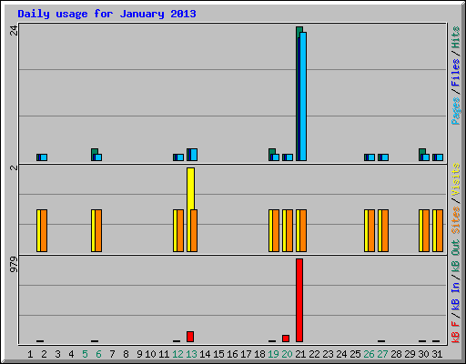 Daily usage for January 2013