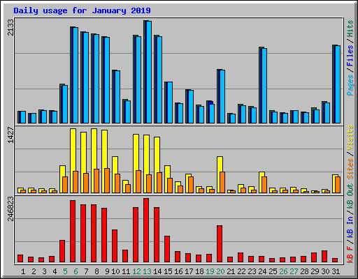 Daily usage for January 2019