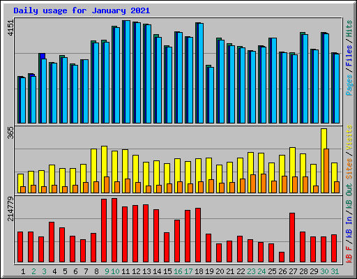 Daily usage for January 2021