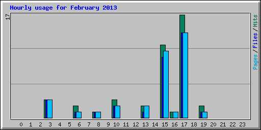 Hourly usage for February 2013