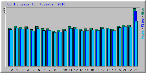 Hourly usage for November 2016