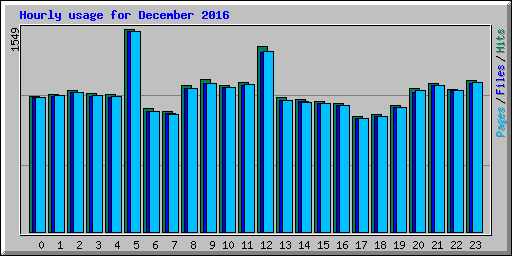 Hourly usage for December 2016