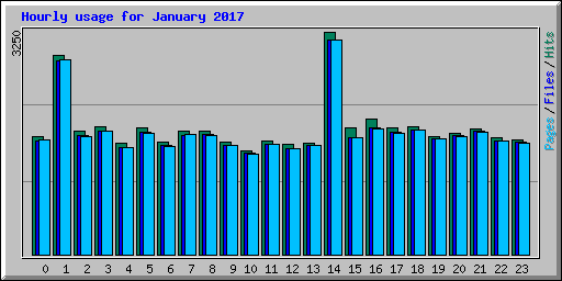 Hourly usage for January 2017