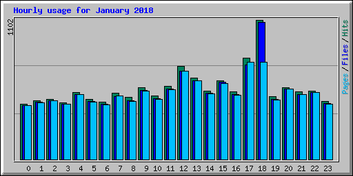 Hourly usage for January 2018