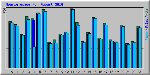 Hourly usage for August 2018