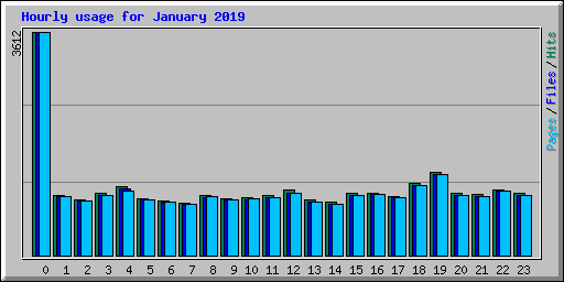 Hourly usage for January 2019