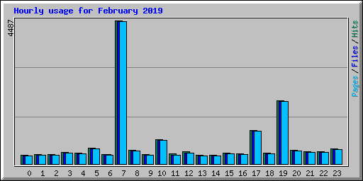 Hourly usage for February 2019