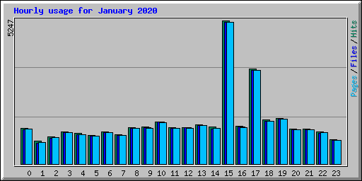 Hourly usage for January 2020