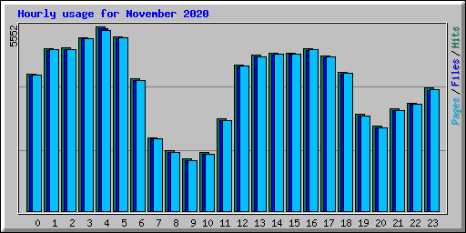 Hourly usage for November 2020