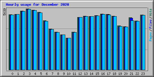 Hourly usage for December 2020