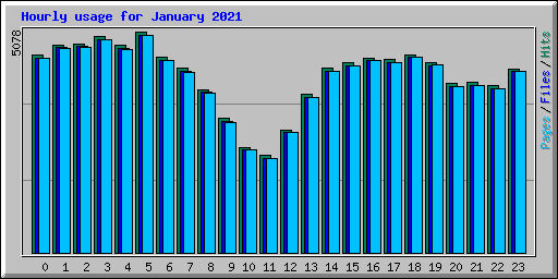 Hourly usage for January 2021