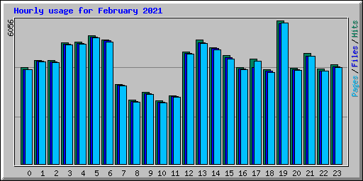 Hourly usage for February 2021