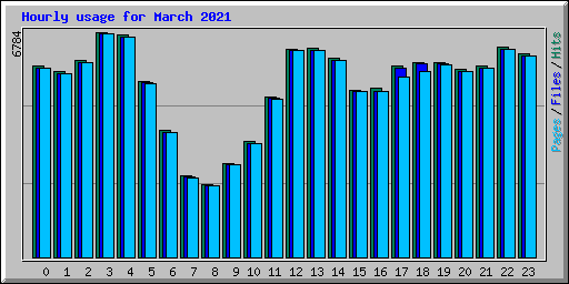 Hourly usage for March 2021