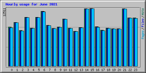 Hourly usage for June 2021