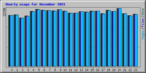 Hourly usage for December 2021