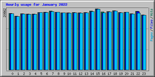 Hourly usage for January 2022